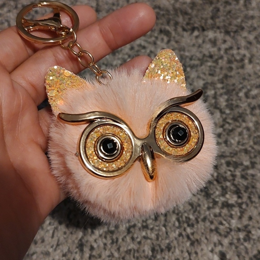 Owl Keychain with Gold Accents - Picture 2 of 3